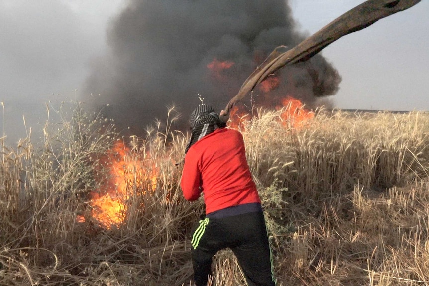 A man tries to extinguish a fire in a field with a hessian bag