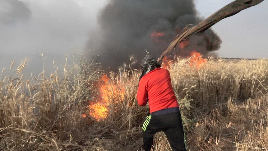 A man tries to extinguish a fire in a field with a hessian bag