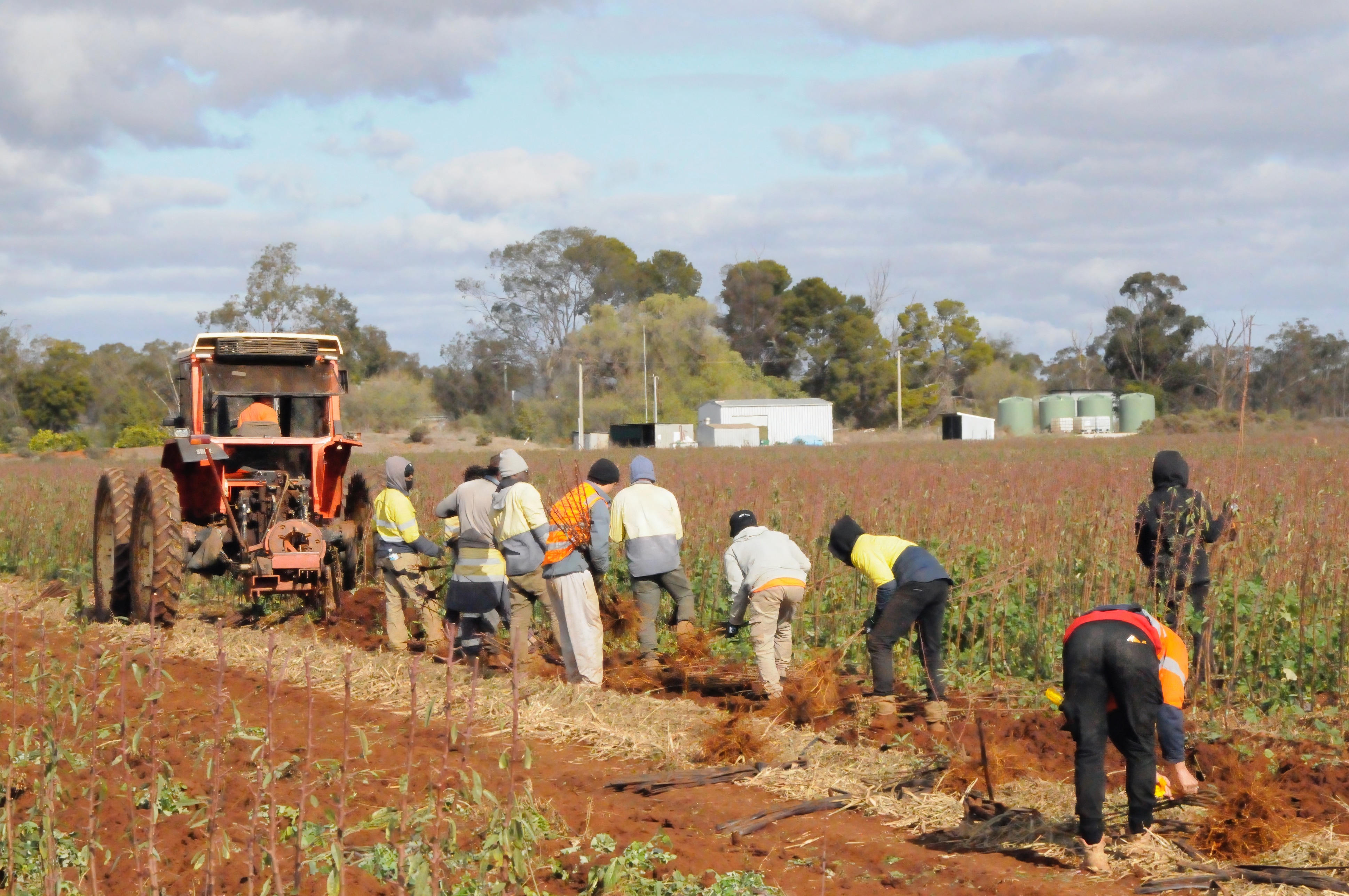 The Australian Government says its PALM scheme is a 'win-win" but a new report has found many shortfalls
