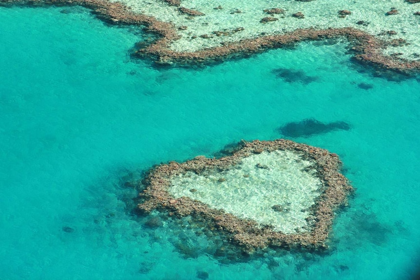 Heart Reef in the Whitsundays.