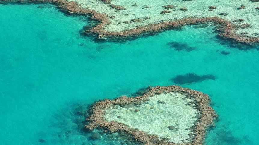 Heart Reef