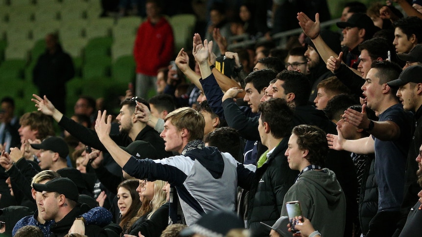 Sports fans stand and gesture toward the field of play, with many raising open hands in signs of frustration.