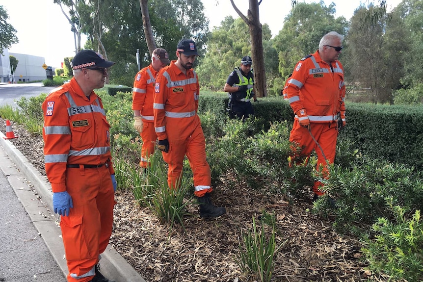 Emergency services search the area a toddler's body was found