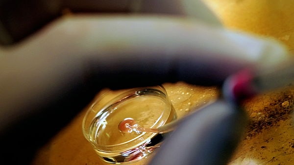 eggs and sperm for IVF