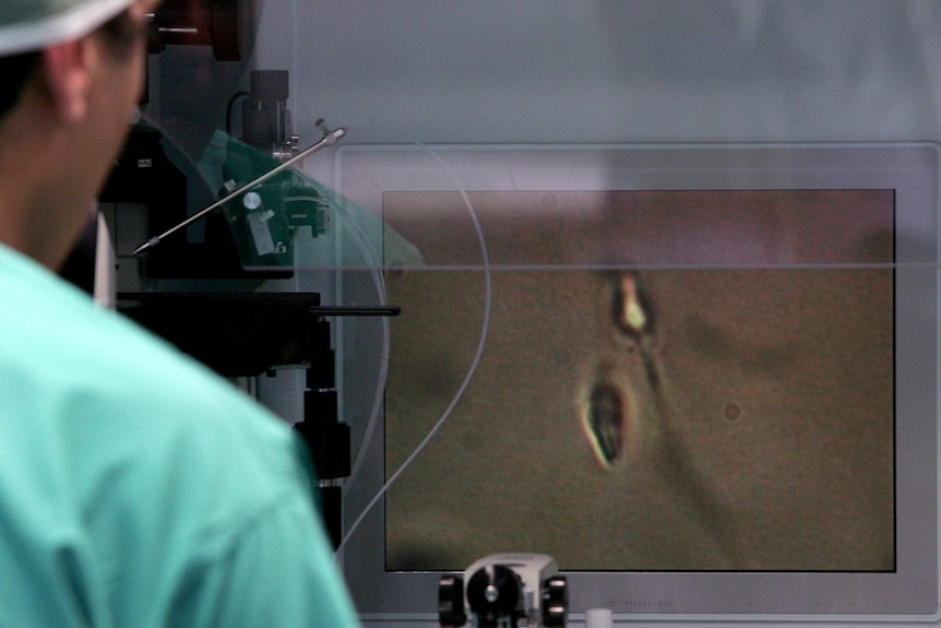 A doctor examines human sperm