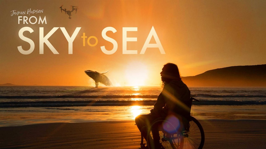 The silhouette of Jaimen in a wheelchair on a sandy beach looking at the sunset horizon. A humpback whale breaks through water