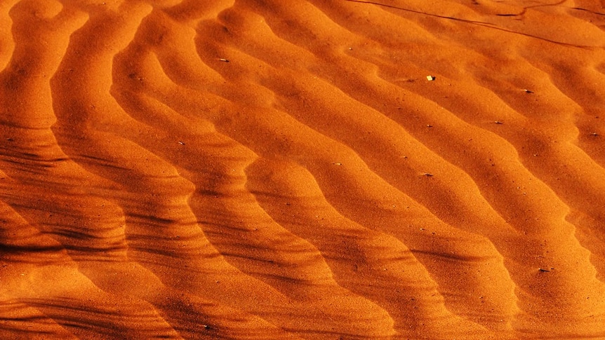 Red desert sand shapes into wave formations by the wind.