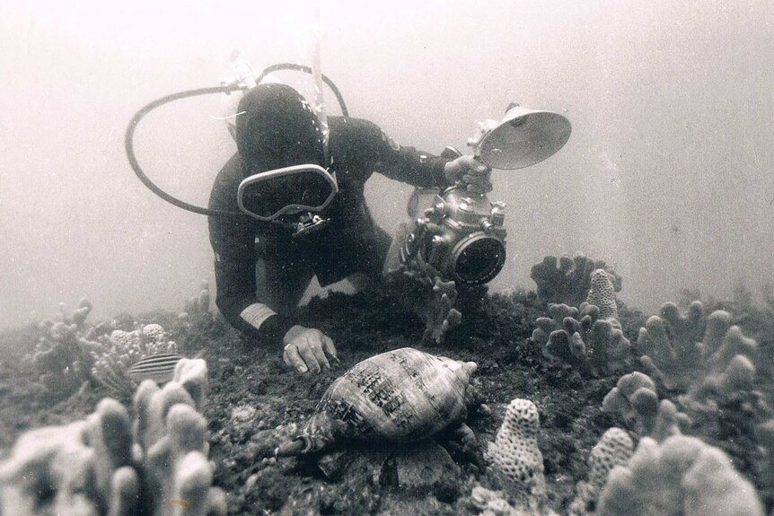 Black and white photograph of underwater diver.