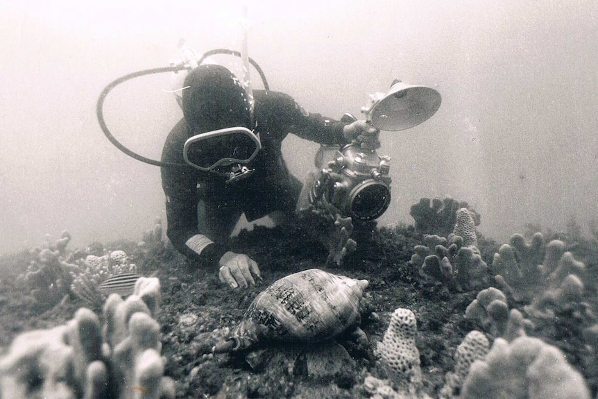 Black and white photograph of underwater diver.