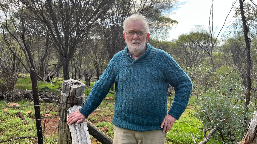 A man stands in his paddock in a blue jumper