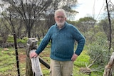 A man stands in his paddock in a blue jumper