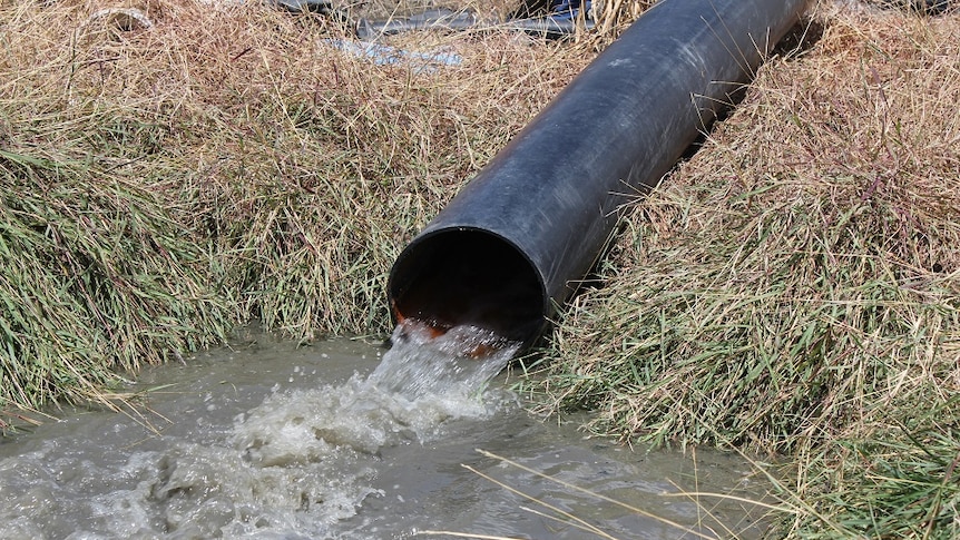 A black pipe with water coming out of it. There is grass surrounding it.