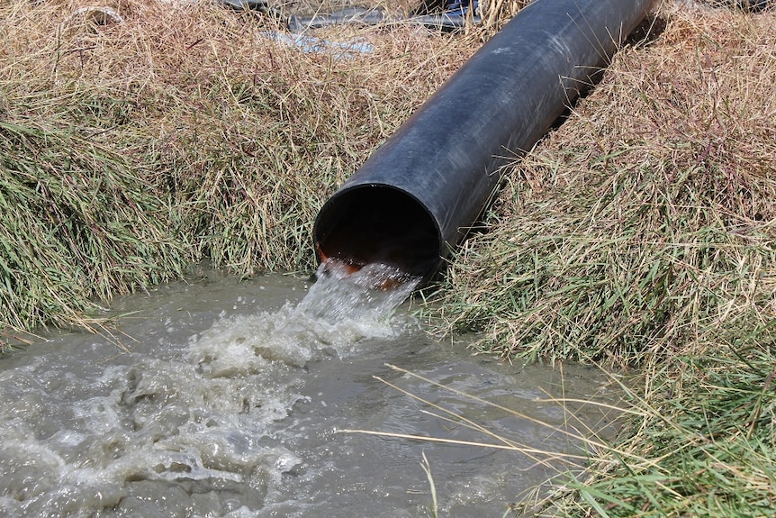 A black pipe with water coming out of it. There is grass surrounding it.