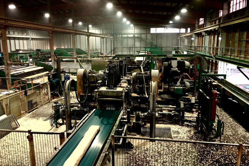 Milling machines operate in a factory, with sawdust all over the floor.