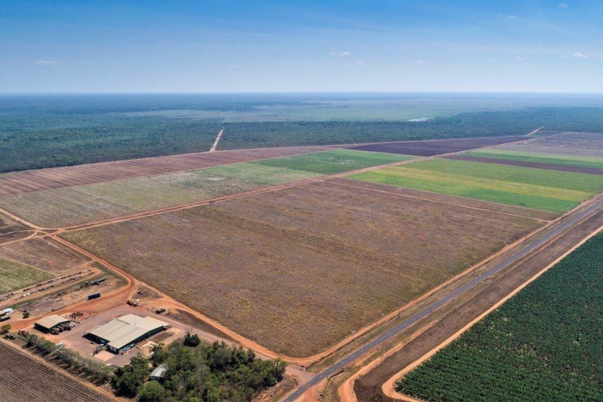 an aerial photo of some paddocks on a farm with scrub in the background.