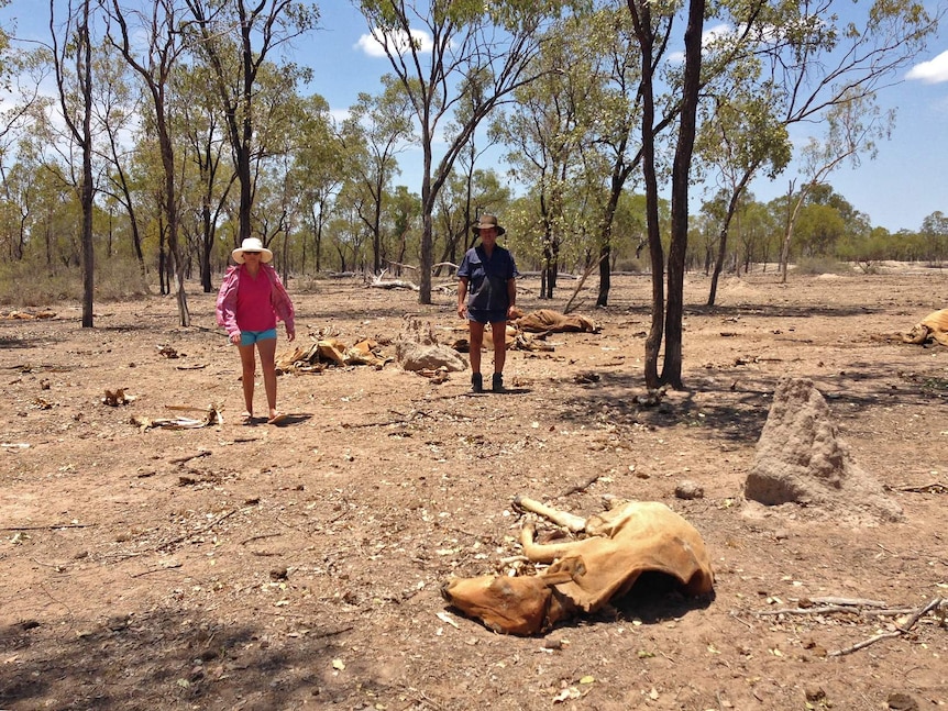Tess and Mick Pemble on drought stricken property, Allan Hills, west of Charters Towers in north Queensland