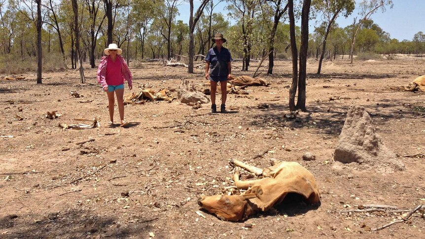 Tess and Mick Pemble on drought-stricken property, Allan Hills, west of Charters Towers in north Queensland