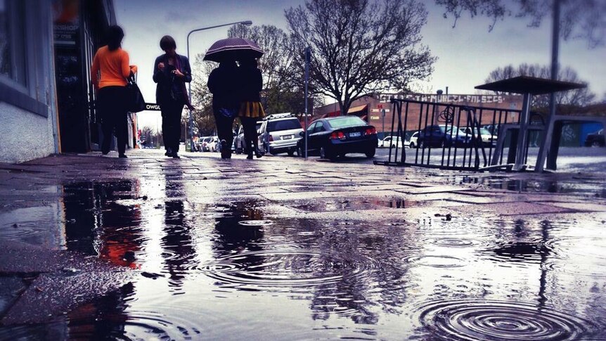 Puddles on Lonsdale Street at lunchtime.