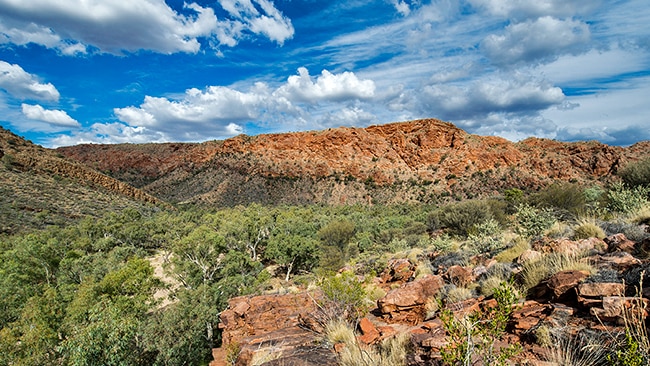 Trephina Gorge nature park