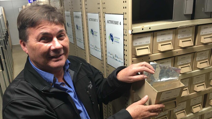 Australian Pastures Gene Bank curator Steve Hughes with a silver seed sample in a big fridge in front of filing cabinets