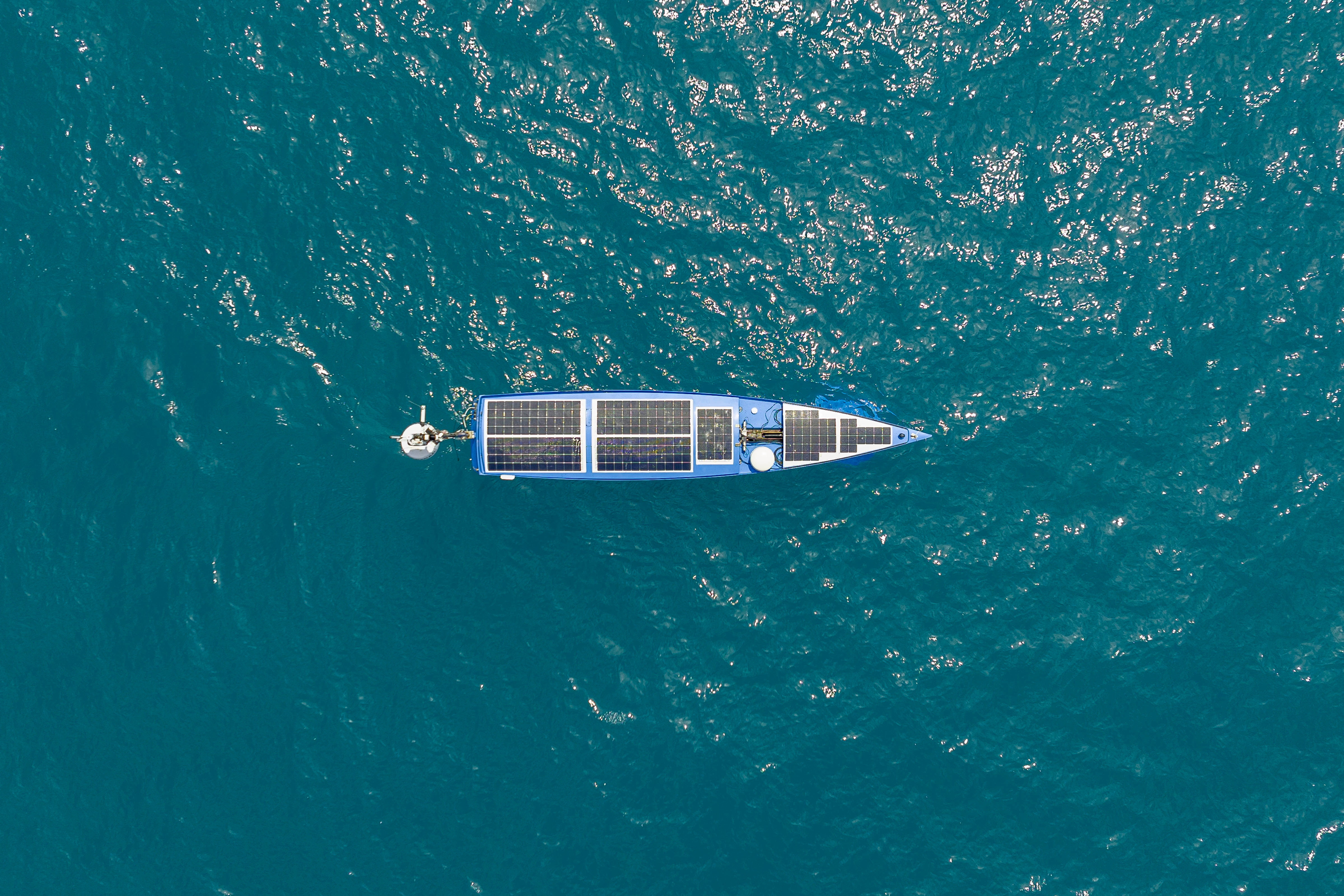 Illegal Fishing - Topic - ABC News