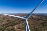 A drone shot of a large wind turbine with dozens of other turbines in the background.