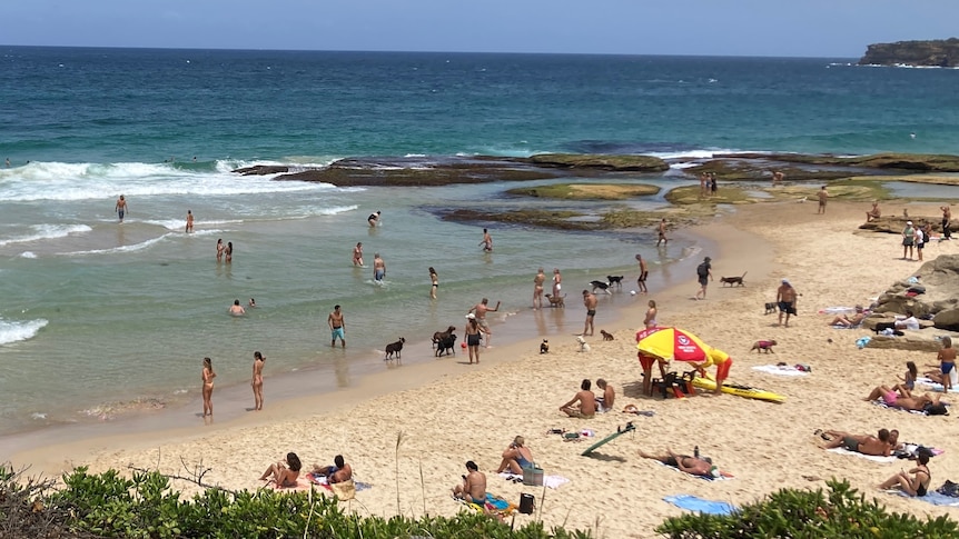 People on the sand and water with life savers under an umbrella on Mackenzies Bay beach
