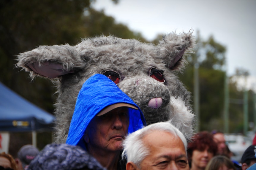 A giant furry possum costume in a crowd