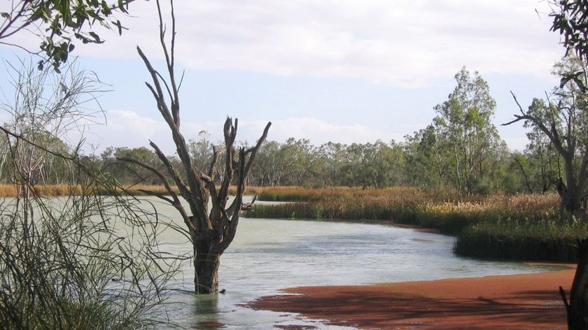 A water economist says the climate in some parts of the Murray-Darling Basin has changed forever.