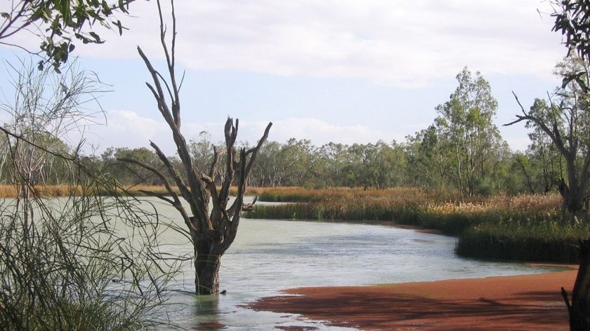 Murray-Darling dams are holding only 21 per cent of total capacity.