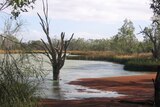 Murray-Darling dams are holding only 21 per cent of total capacity.