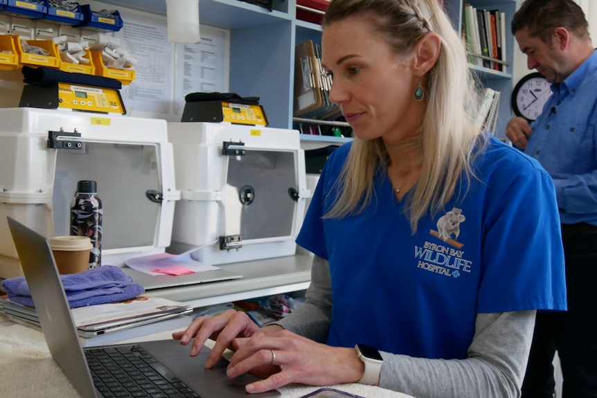 A woman in blue vet scrubs works at a computer.