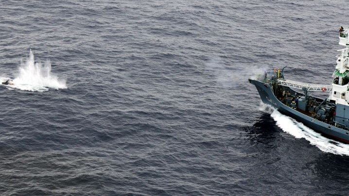 Australian authorities will keep a close eye on Japanese whalers. (File photo)
