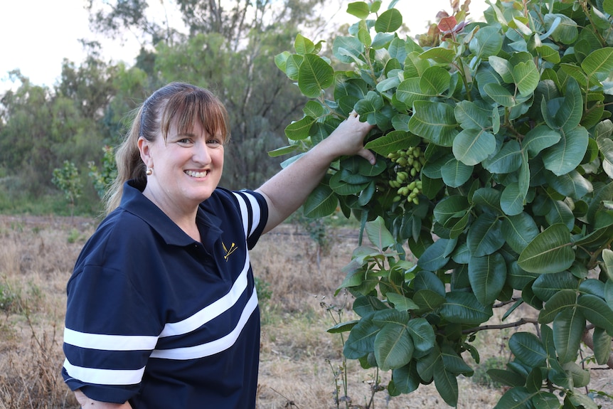 Woman standing next to a pistachio tree. 