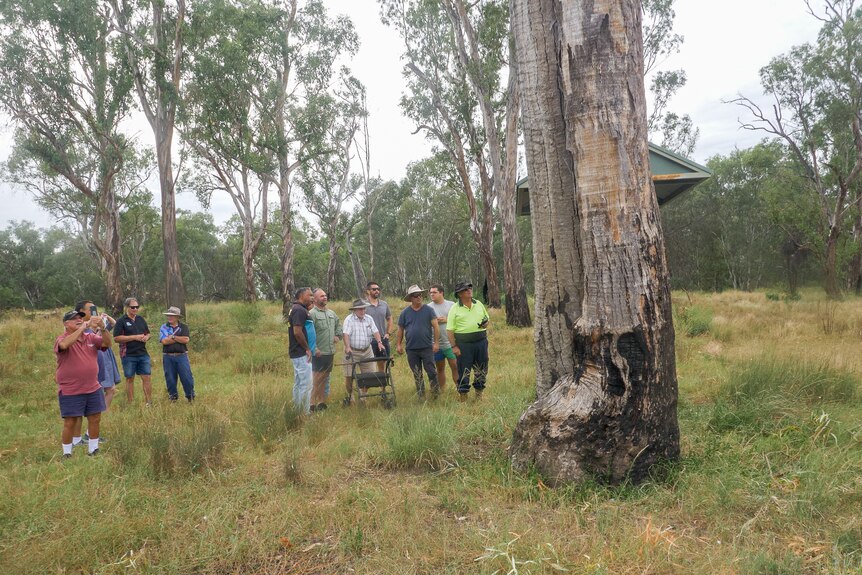 The Waters family stand around looking at a scar tree at Toomelah, New South Wales, March 2024.