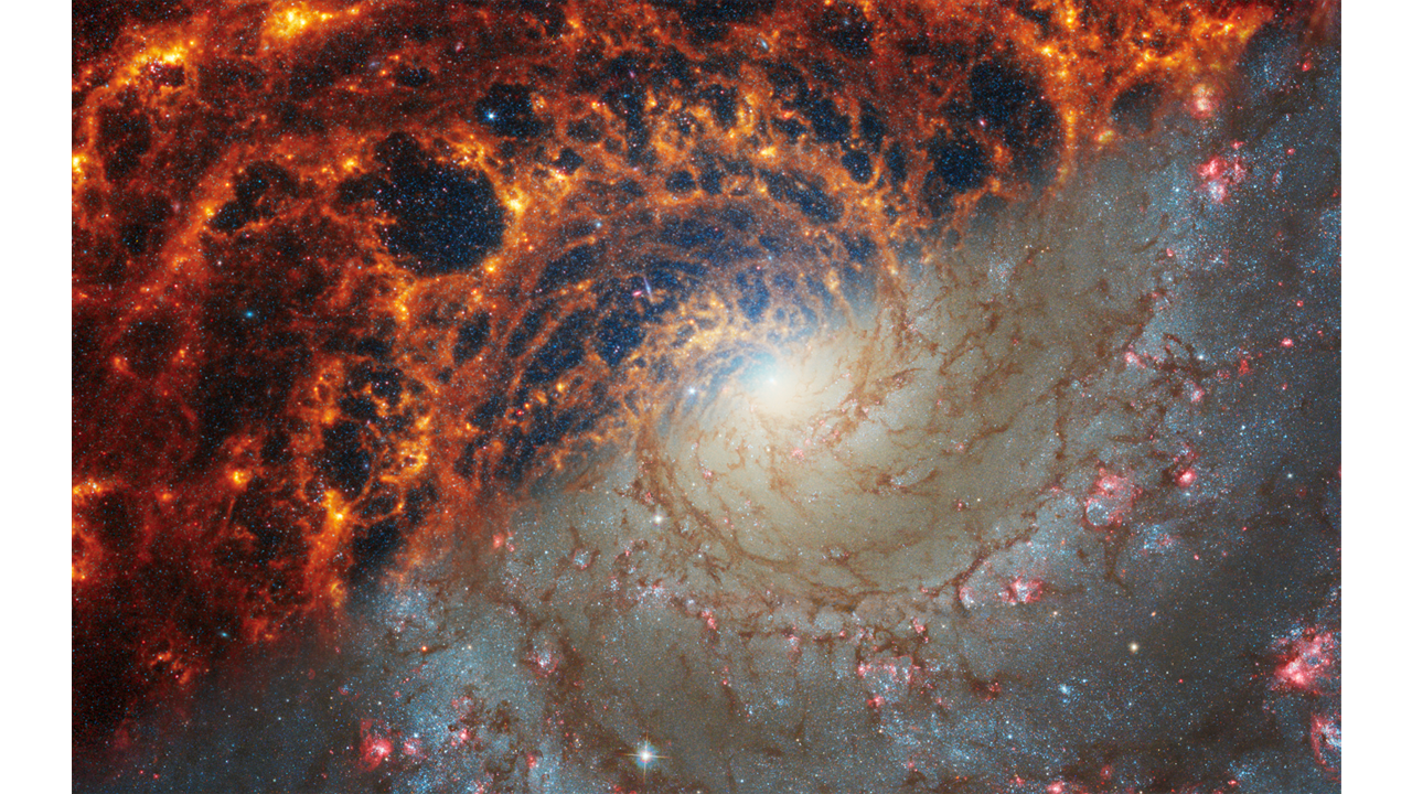 Spiral galaxy NGC 628 bright orange spirals divided diagonally with light grey Hubble imagery