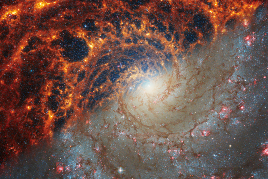 Spiral galaxy NGC 628 bright orange spirals divided diagonally with light grey Hubble imagery