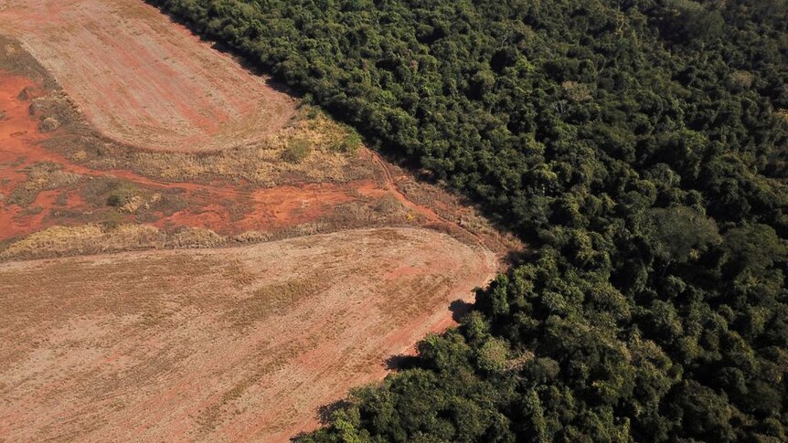 An aerial view showing deforestation near a forest on the border
