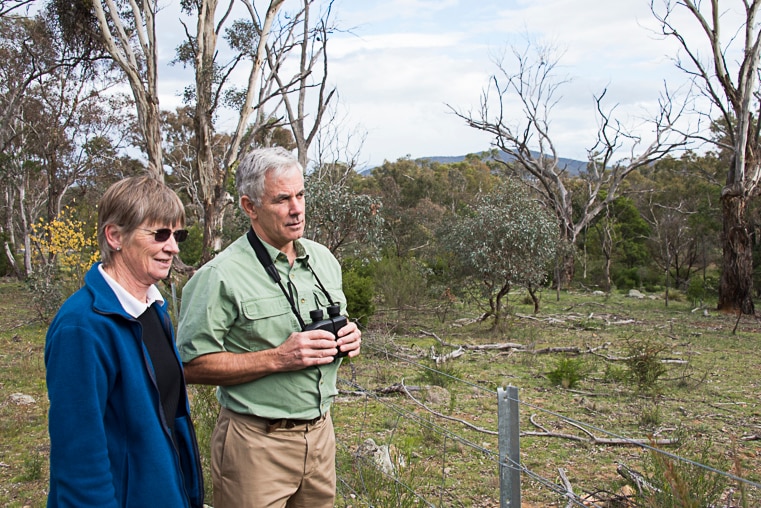 Dr Fletcher and Dr Hinds are keeping a close eye on kangaroo populations.