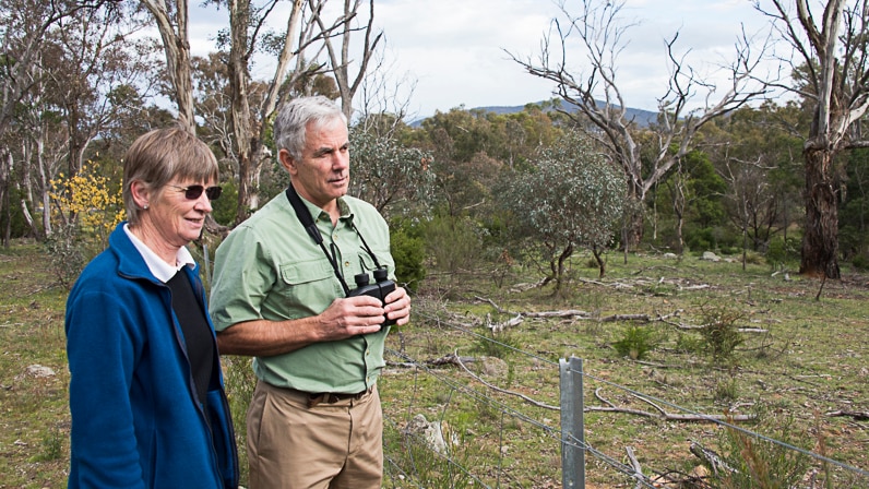 Dr Fletcher and Dr Hinds are keeping a close eye on kangaroo populations.