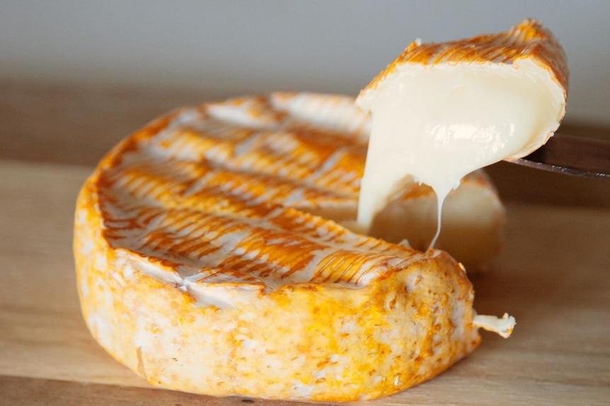 A wheel of soft cheese with a wedge cut and lifted by a knife.