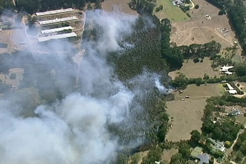 Smoke coming from a patch of trees near buildings and farmland.