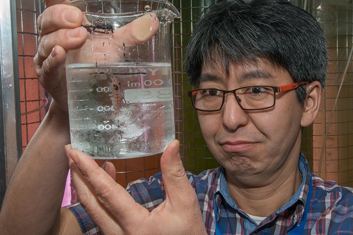 Dr So Kawaguchi with glass vessel containing krill.