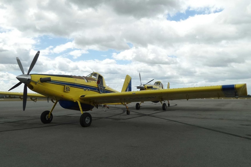 A water bomber sits on the tarmac at Albany airport Wednesday morning.