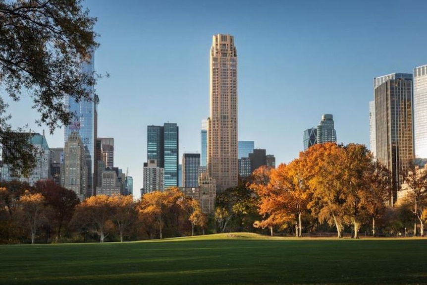 Skyscrapers in New York are seen from the grass in Central Park, with trees lining the buildings and blue skies overhead.