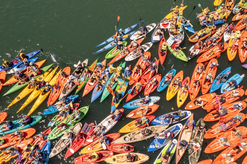 Aerial view of a group of kayakers 