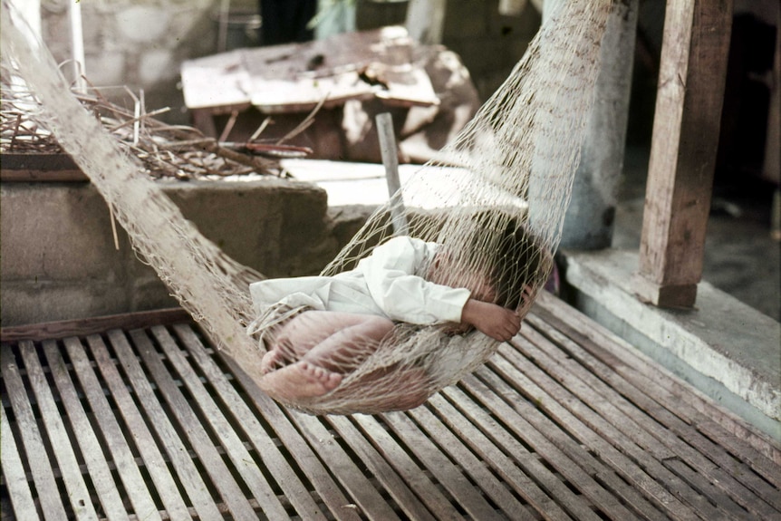 A child asleep in a hammock.