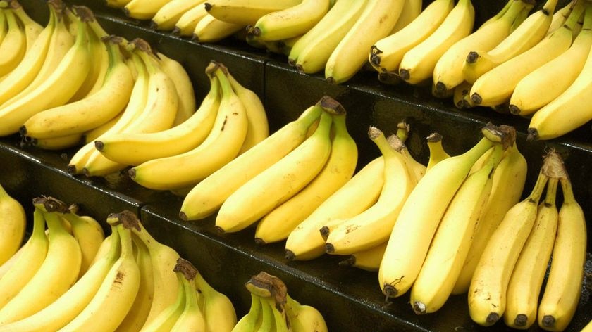 Bananas sit in a fruit shop.