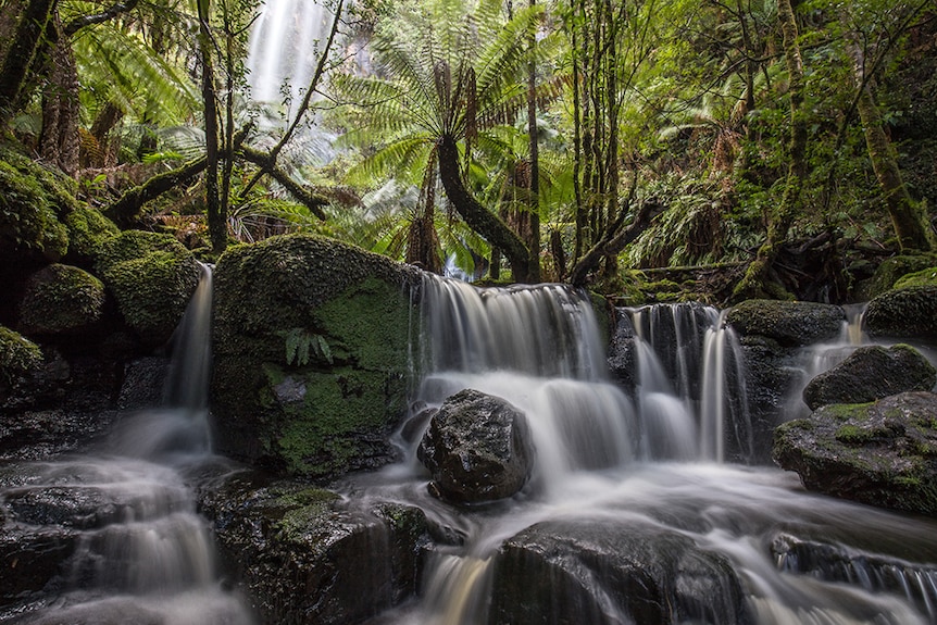 Creekton Falls, photo by Louise Fairfax.