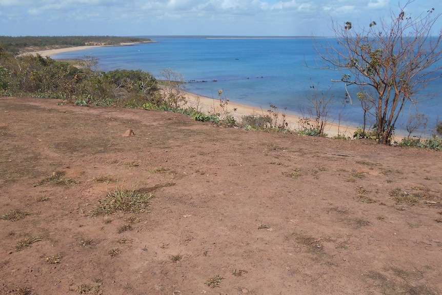 The Galiwinku coast line and some trees and shrubs can be seen from higher ground.